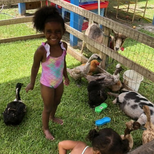 Small children playing with a duck.